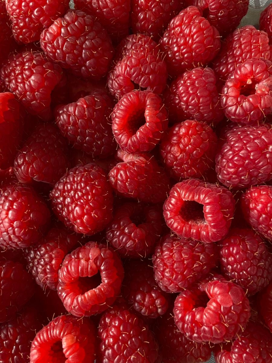 Hallonbullar frambuesa bollería nórdica - Productos suecos artesanales Madrid